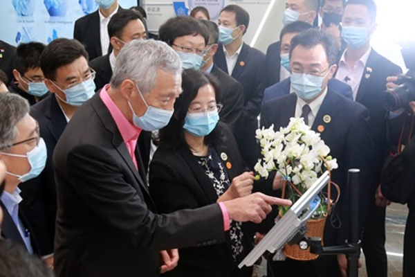 新加坡南洋理工大学化学与生物分子工程学士学位